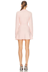 Collar Mini Dress